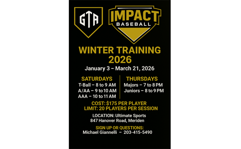 Impact Baseball Winter Training - GTA